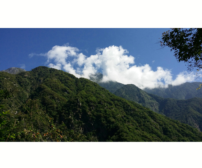 臺灣風(fēng)景